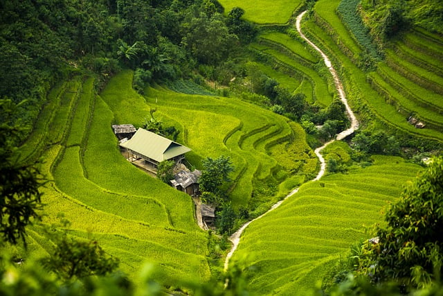 군산 한라비발디 더프라임 입지환경